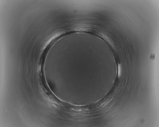 X0000092060723200709191141