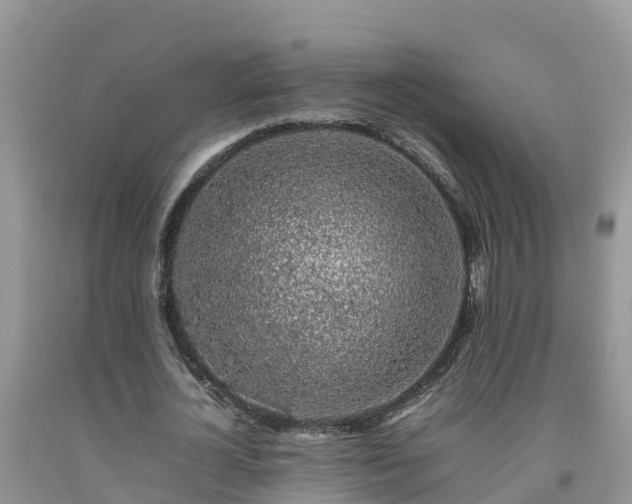 X0000092060724200709191141