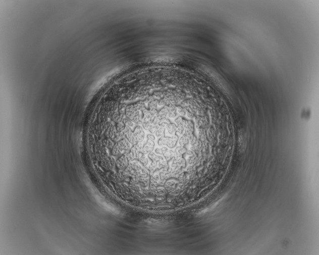 X0000092060725200709191141