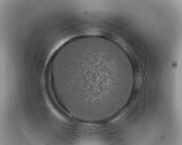 X0000092060726200709191141