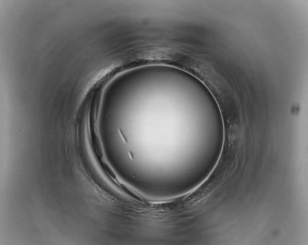 X0000092060727200709191141