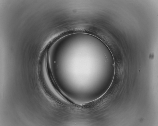 X0000092060728200709191141