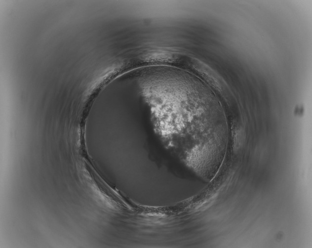 X0000092060729200709191141