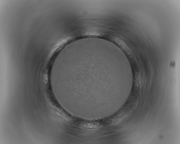 X0000092060731200709191141