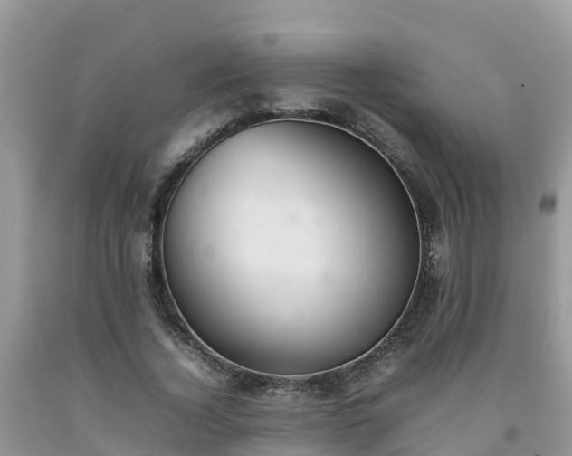 X0000092060732200709191141