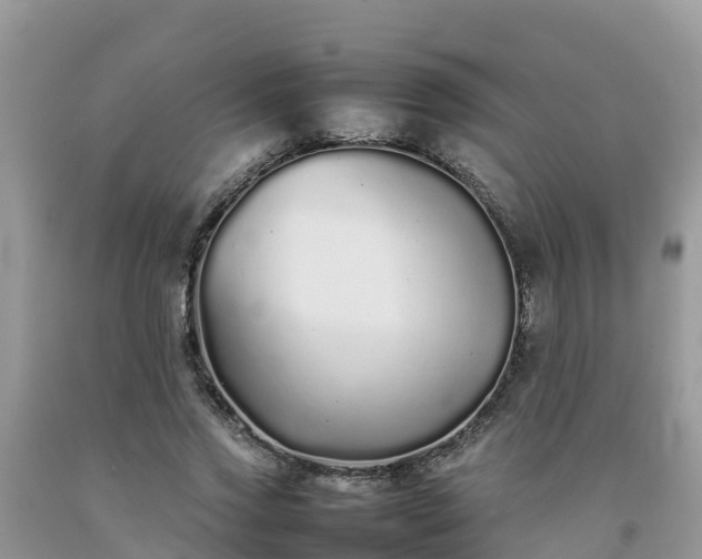 X0000092060733200709191141