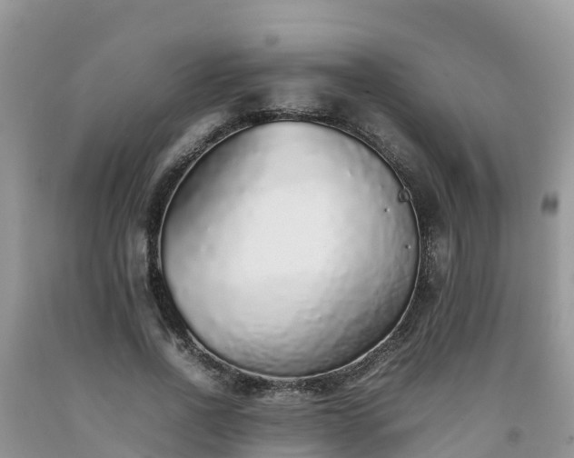 X0000092060734200709191141