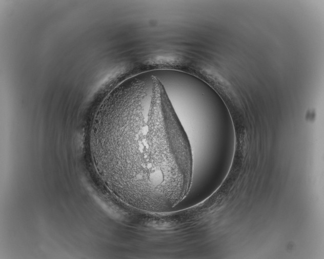 X0000092060735200709191141