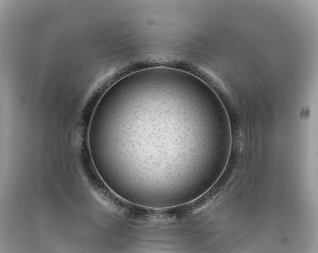 X0000092060736200709191141