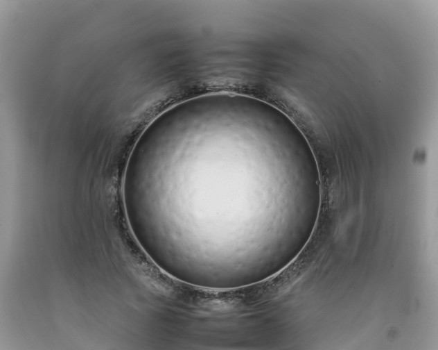 X0000092060737200709191141