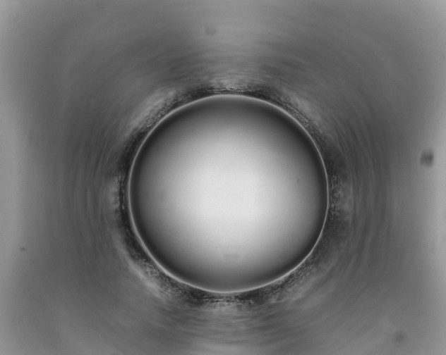 X0000092060738200709191141