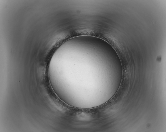 X0000092060739200709191141