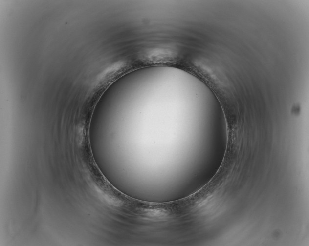 X0000092060741200709191141