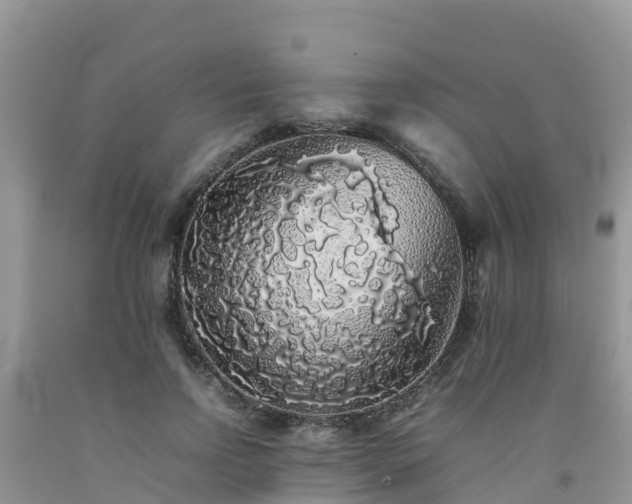 X0000092060742200709191141