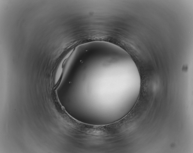 X0000092060743200709191141