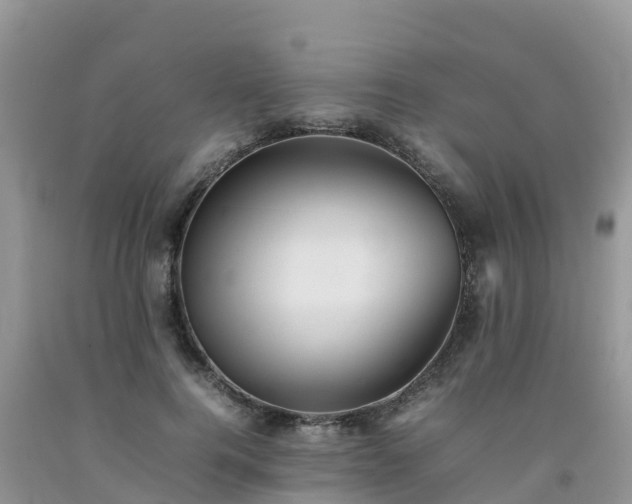 X0000092060744200709191141