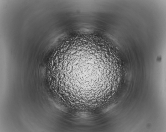 X0000092060745200709191141