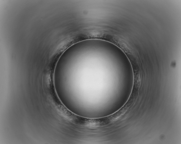 X0000092060746200709191141