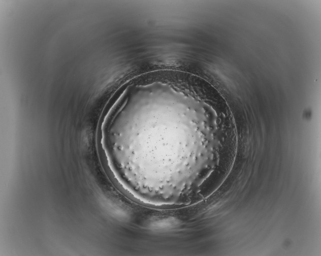 X0000092060747200709191141