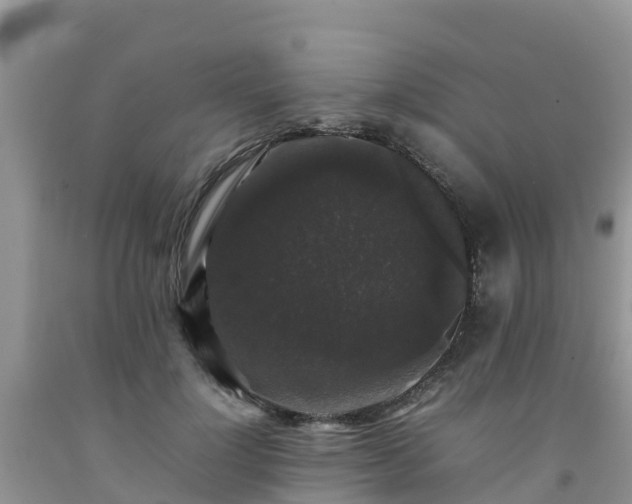 X0000092060748200709191141