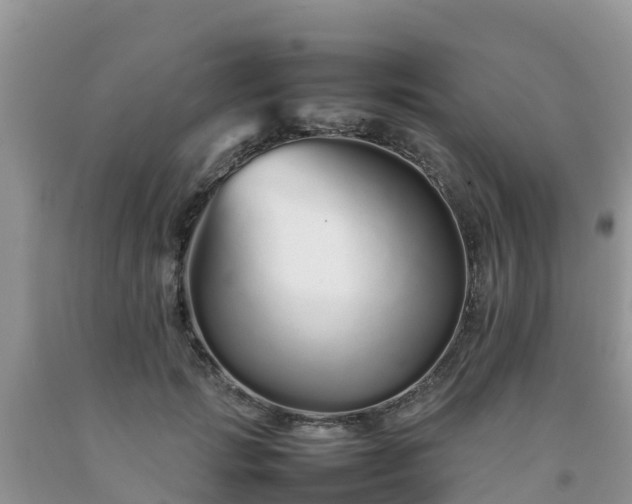 X0000092060749200709191141