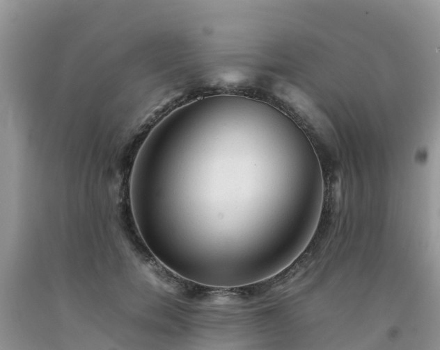 X0000092060750200709191141