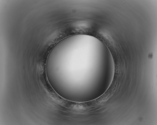 X0000092060751200709191141