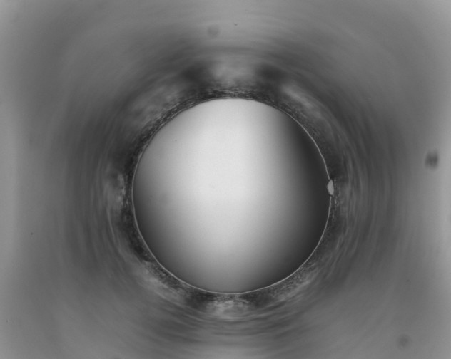 X0000092060752200709191141