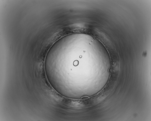 X0000092060753200709191141