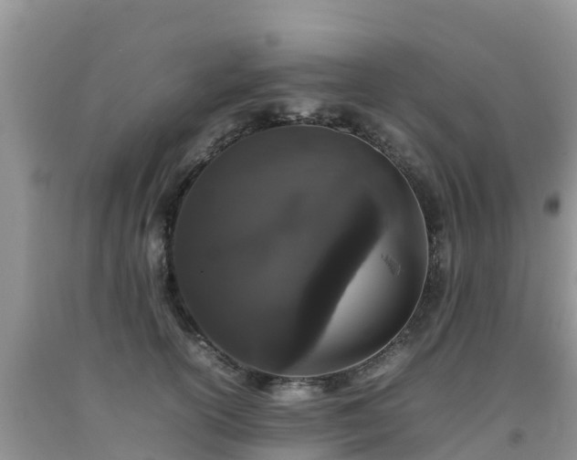 X0000092060754200709191141