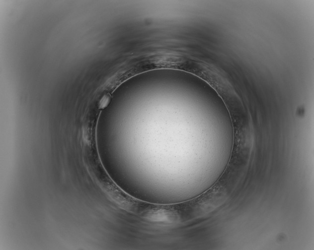 X0000092060755200709191141