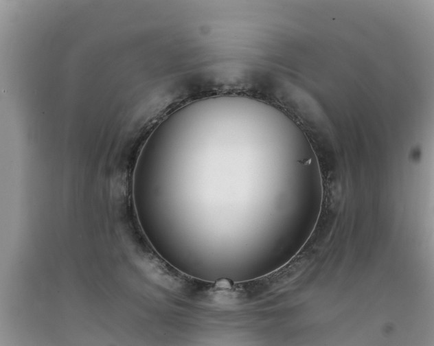 X0000092060756200709191141