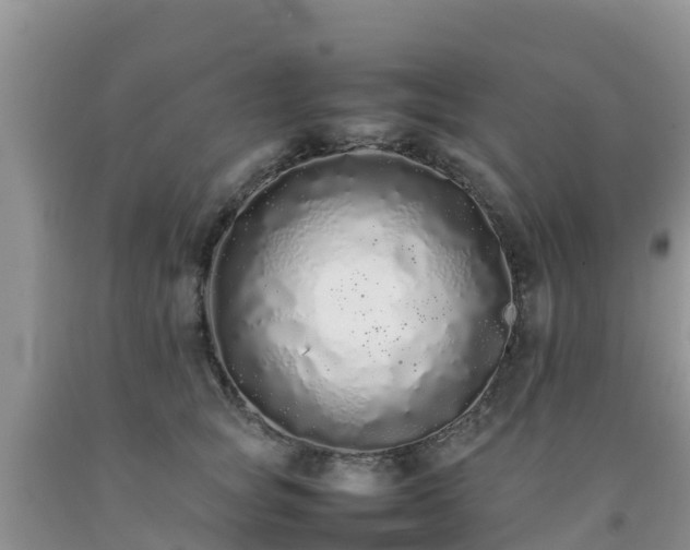 X0000092060757200709191141