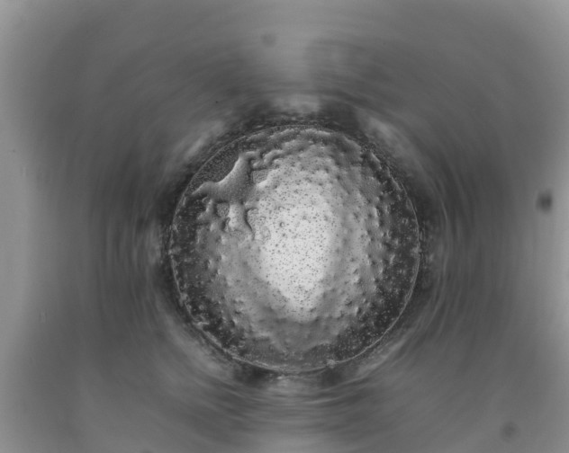 X0000092060758200709191141