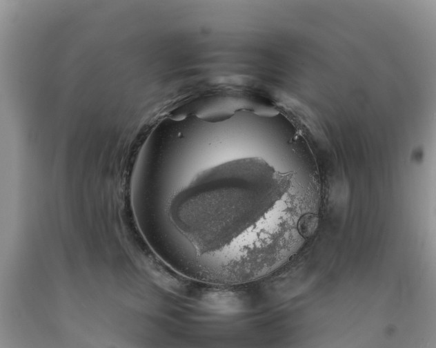 X0000092060759200709191141