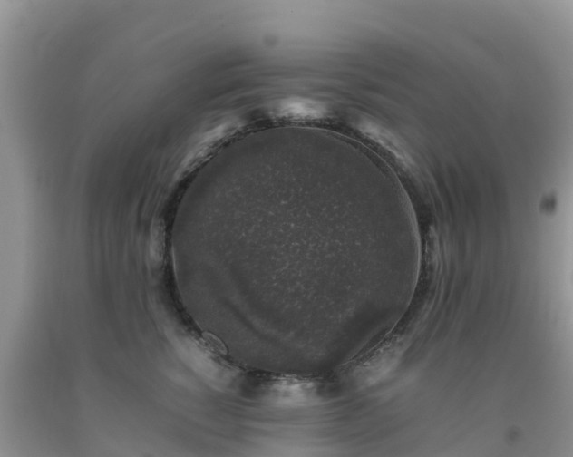 X0000092060760200709191141