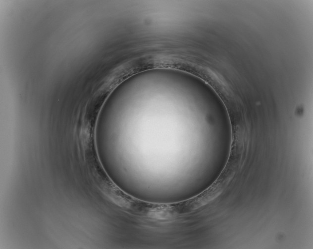 X0000092060761200709191141