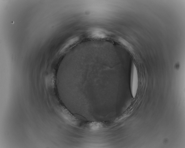 X0000092060762200709191141