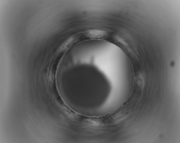 X0000092060763200709191141