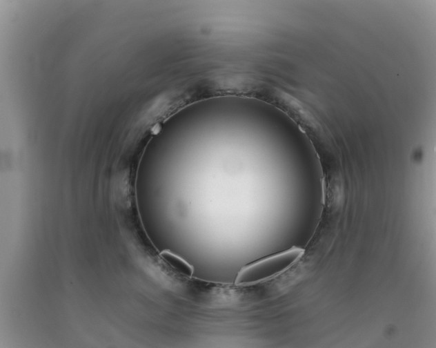 X0000092060764200709191141