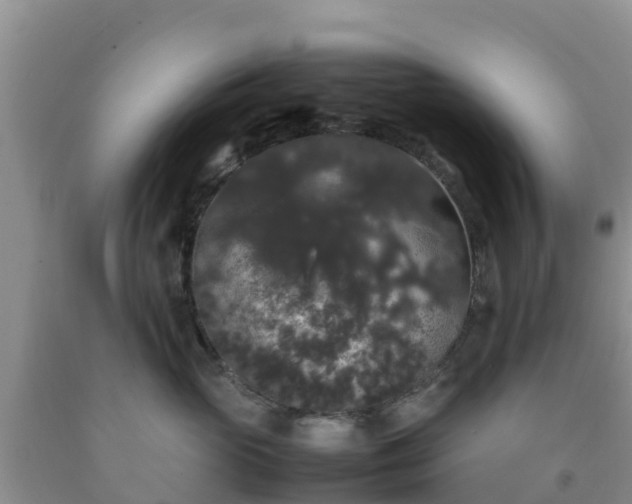 X0000092060765200709191141