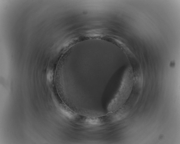 X0000092060767200709191141