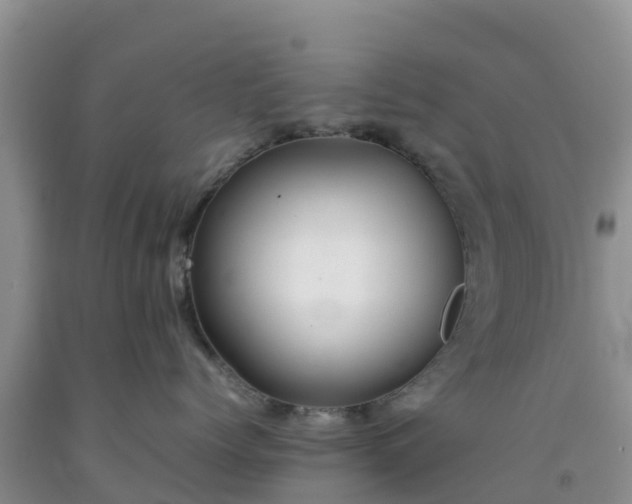 X0000092060768200709191141