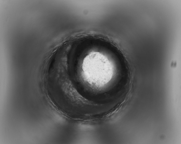 X0000092060769200709191141