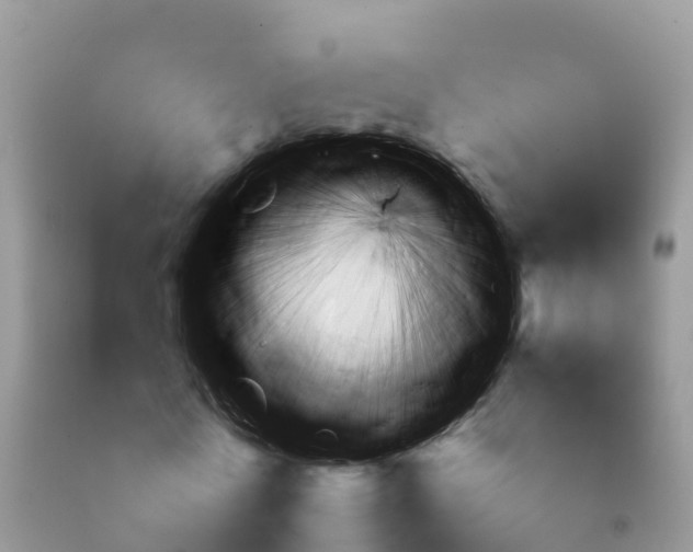 X0000092060770200709191141