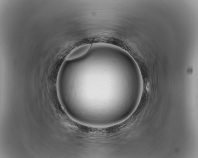 X0000092060771200709191141