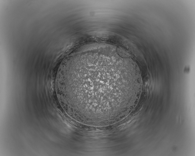 X0000092060772200709191141