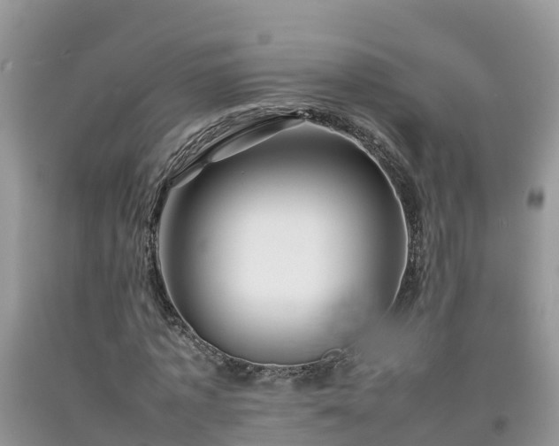 X0000092060773200709191141