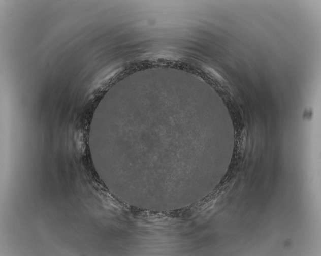 X0000092060774200709191141