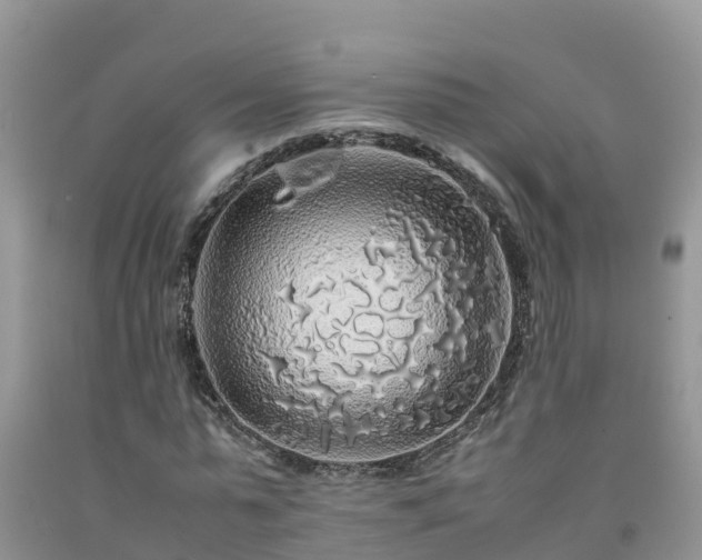 X0000092060775200709191141